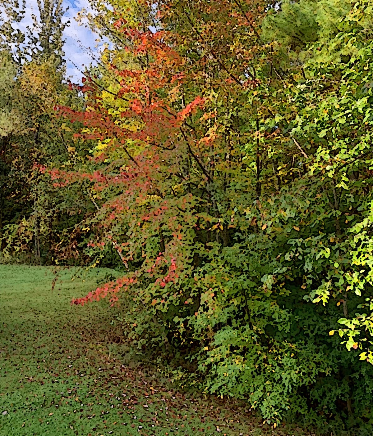 The Leaves are Ready