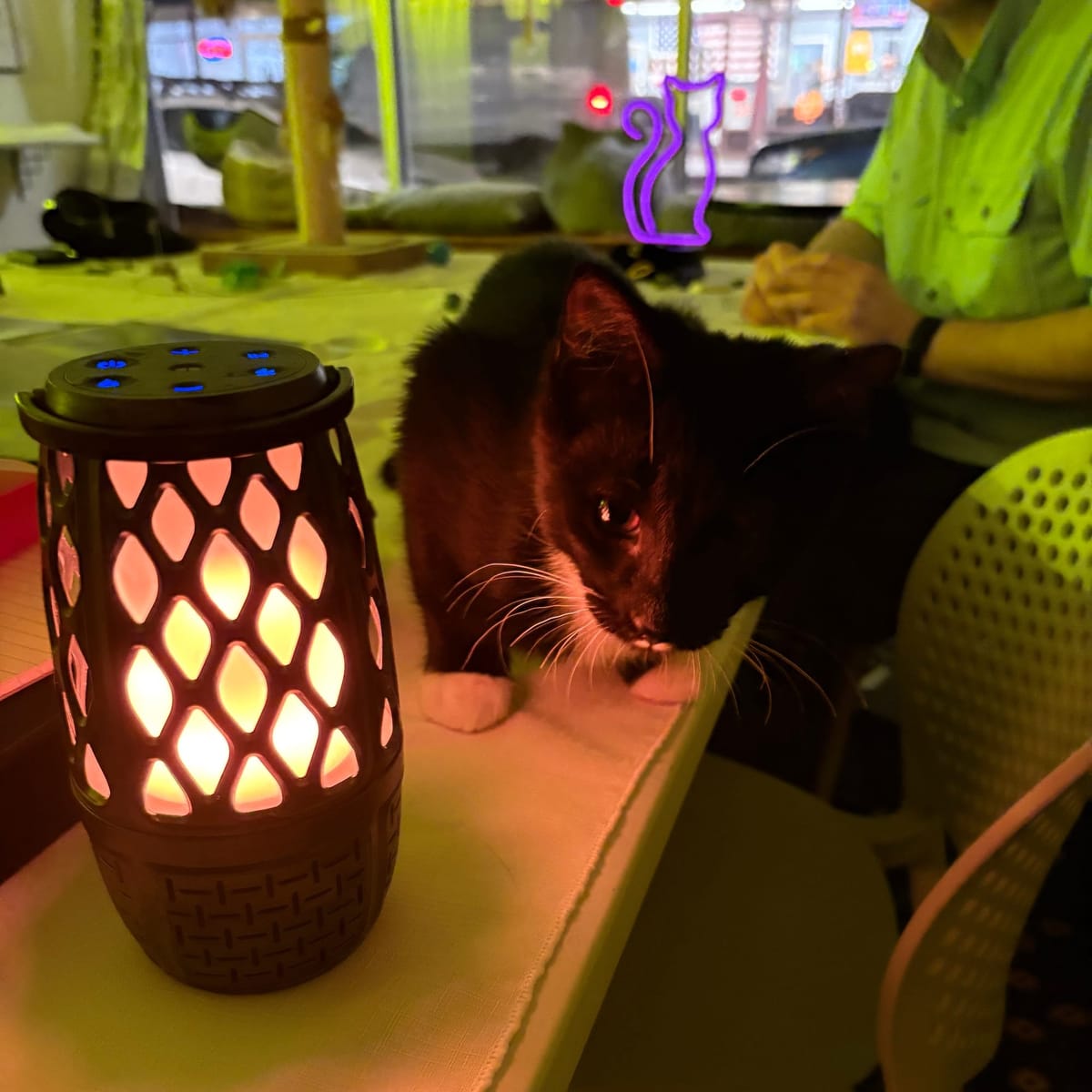 Games I'll be Running - February 2026